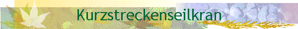 Kurzstreckenseilkran